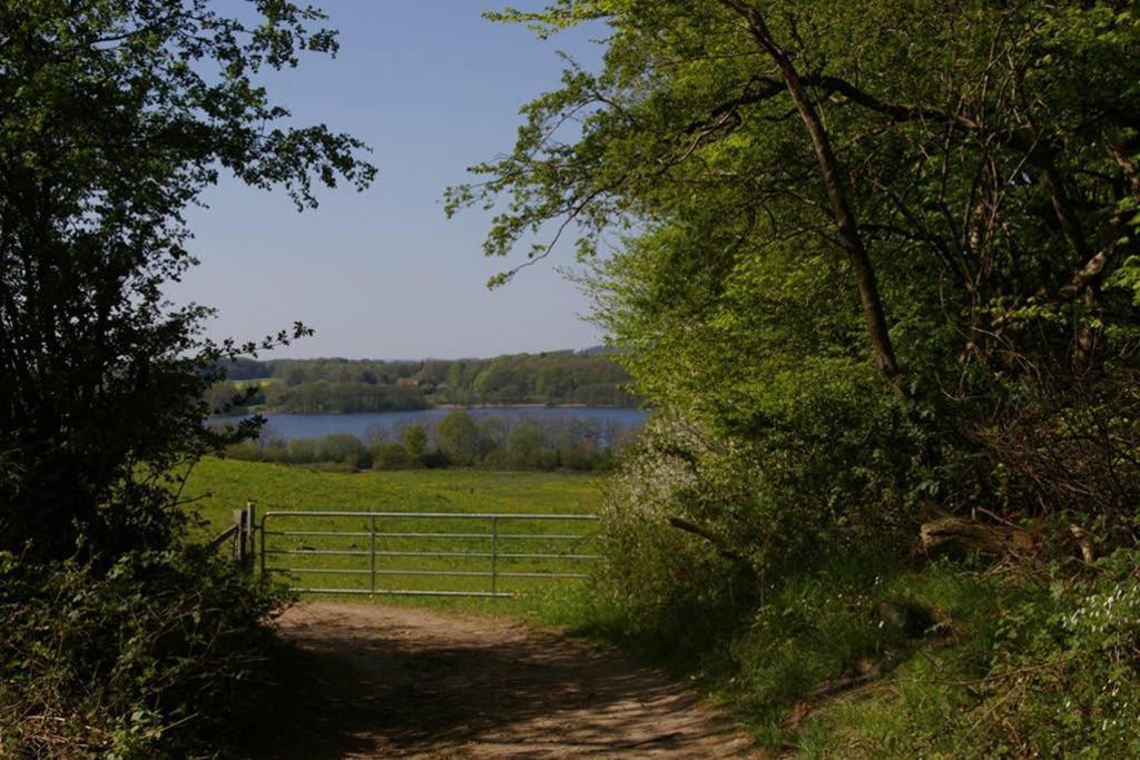 Fewo Am See 15A Klein Wittensee Buitenkant foto